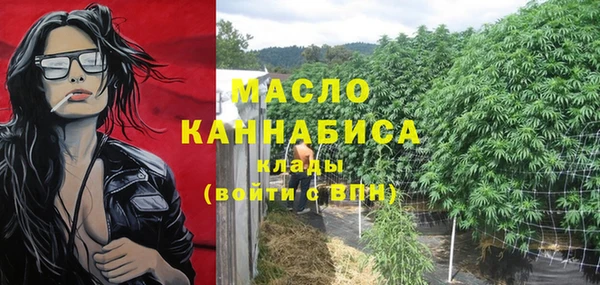 спиды Богородск