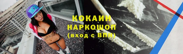 спиды Богородск