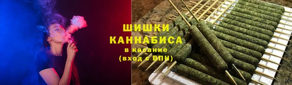 стафф Богородицк