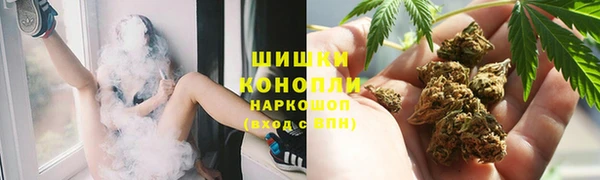 спиды Богородск