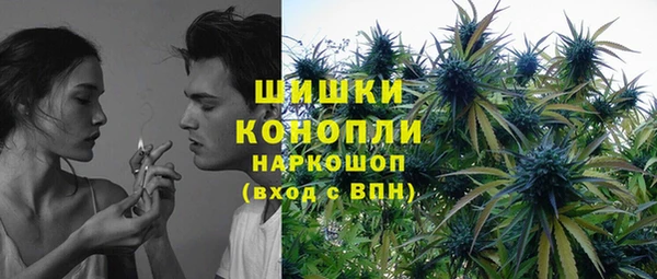 стафф Богородицк