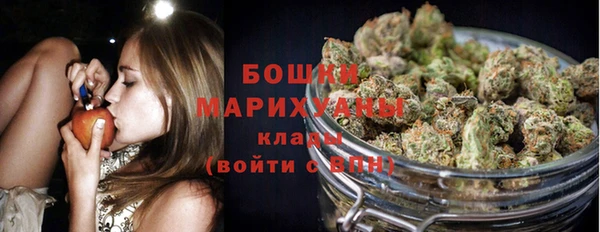 спиды Богородск